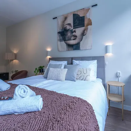 Room Near Tilburg University Ideal For Students Tilburg