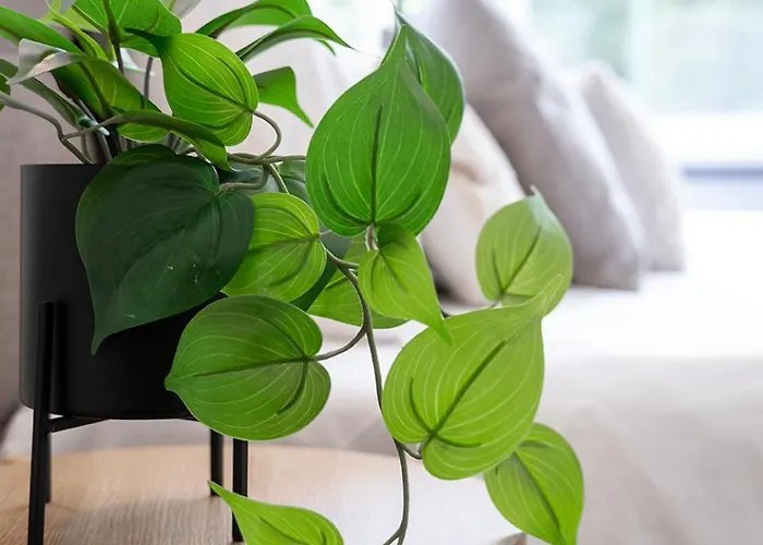 Room Near Tilburg University Ideal For Students * Tilburg