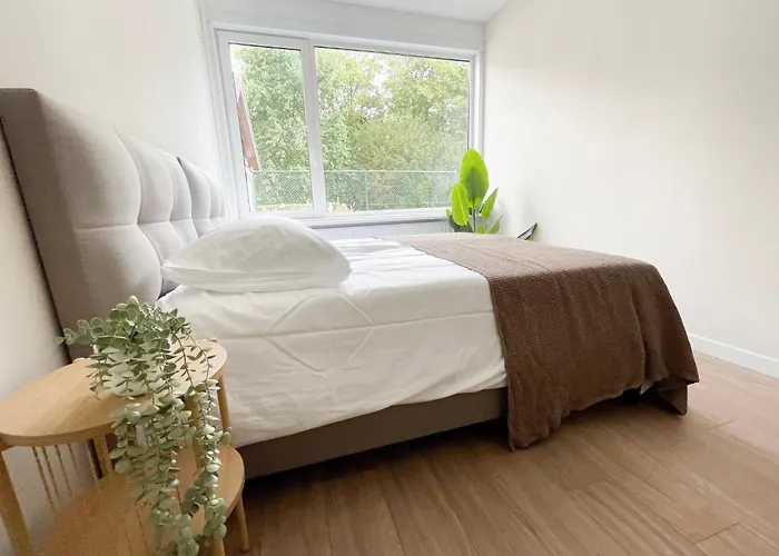 Room Near Tilburg University Ideal For Students Tilburg